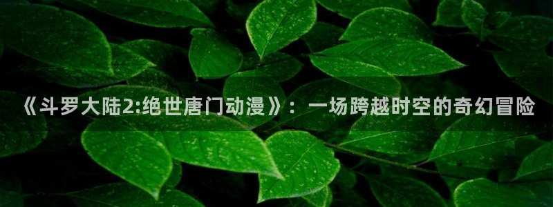 51动漫小说：《斗罗大陆2:绝世唐门动漫》：一场跨越时空的奇幻冒险