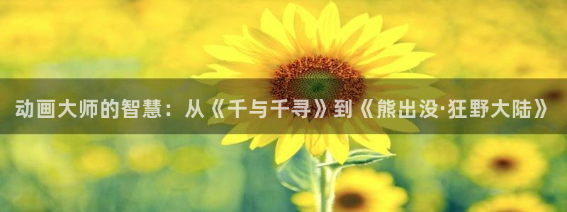 51动漫的所有版本：动画大师的智慧：从《千与千寻》到《熊出没·狂野大陆》