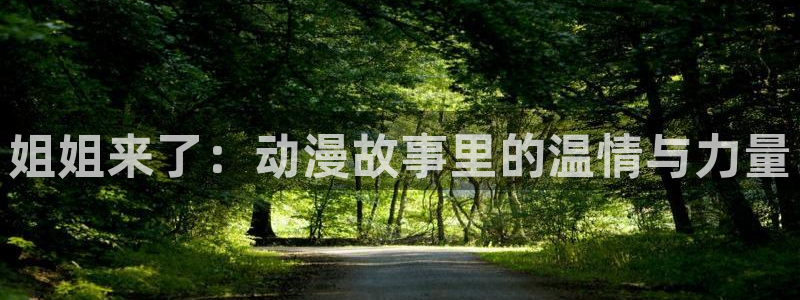 51动漫老版免费漫画官网：姐姐来了：动漫故事里的温情与力量