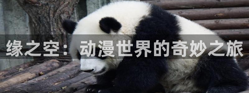 51动漫官网免费版：缘之空：动漫世界的奇妙之旅